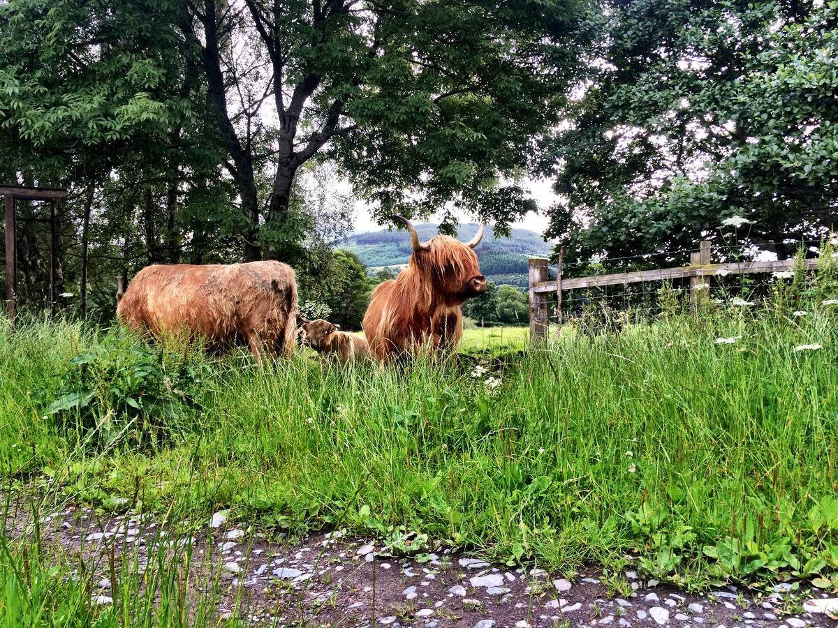 Drumbuie Farm B&B Drumnadrochit Exteriér fotografie
