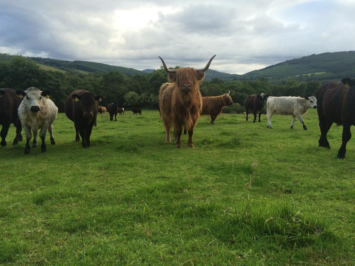 Drumbuie Farm B&B Drumnadrochit Exteriér fotografie